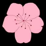 WWW,se538·COM网站APPAPP应用